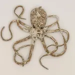 Paros Melodia